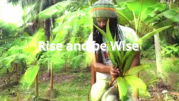 Colah Colah meets K-Jah Sound - Rise And Be Wise (Lyric Video) [6/1/2022]