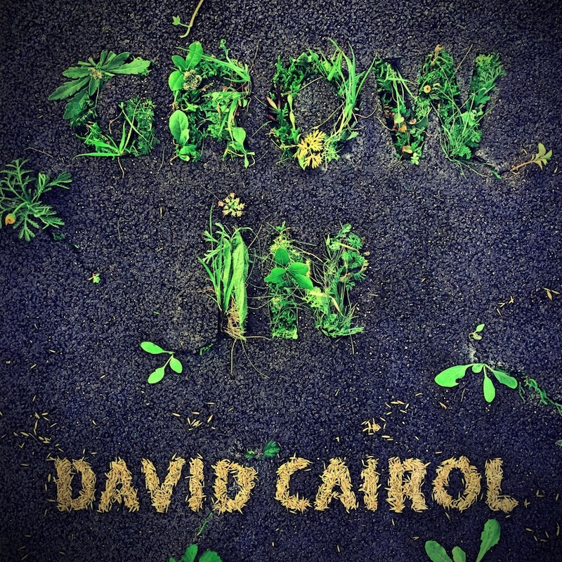 David Cairol - Grow In
