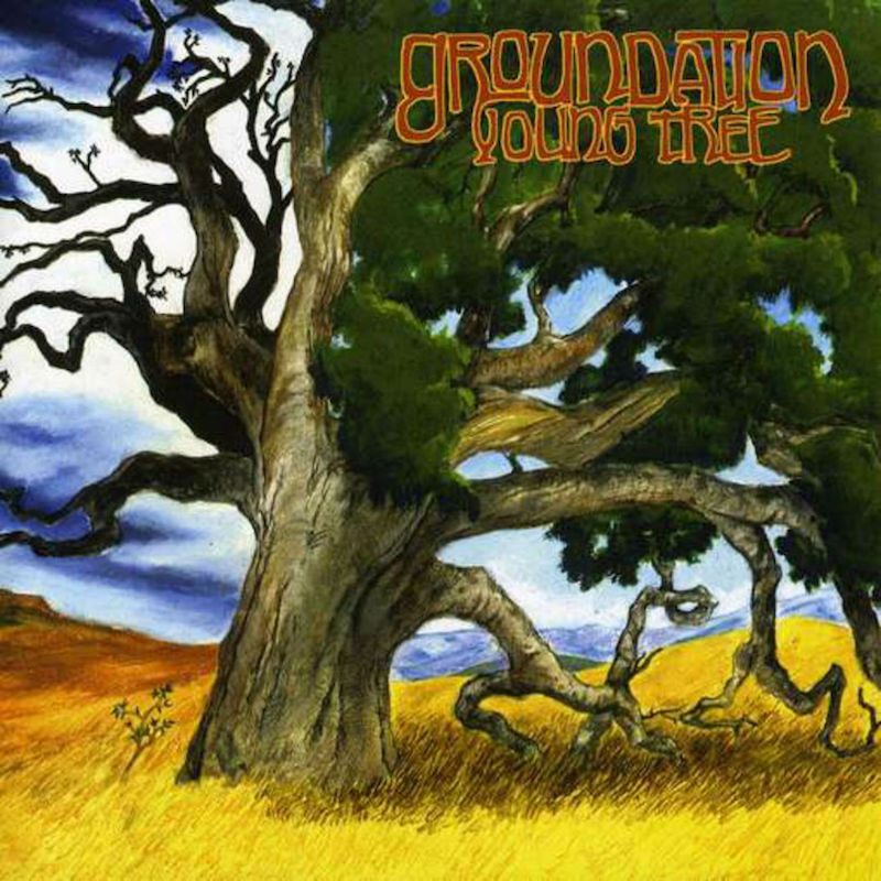 Groundation - Young Tree