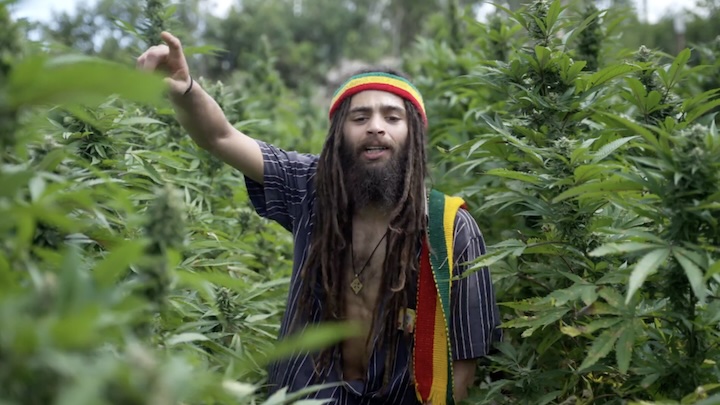 Junior Roy & Dub Shepherds - Trodding On Jah Road [5/28/2025]