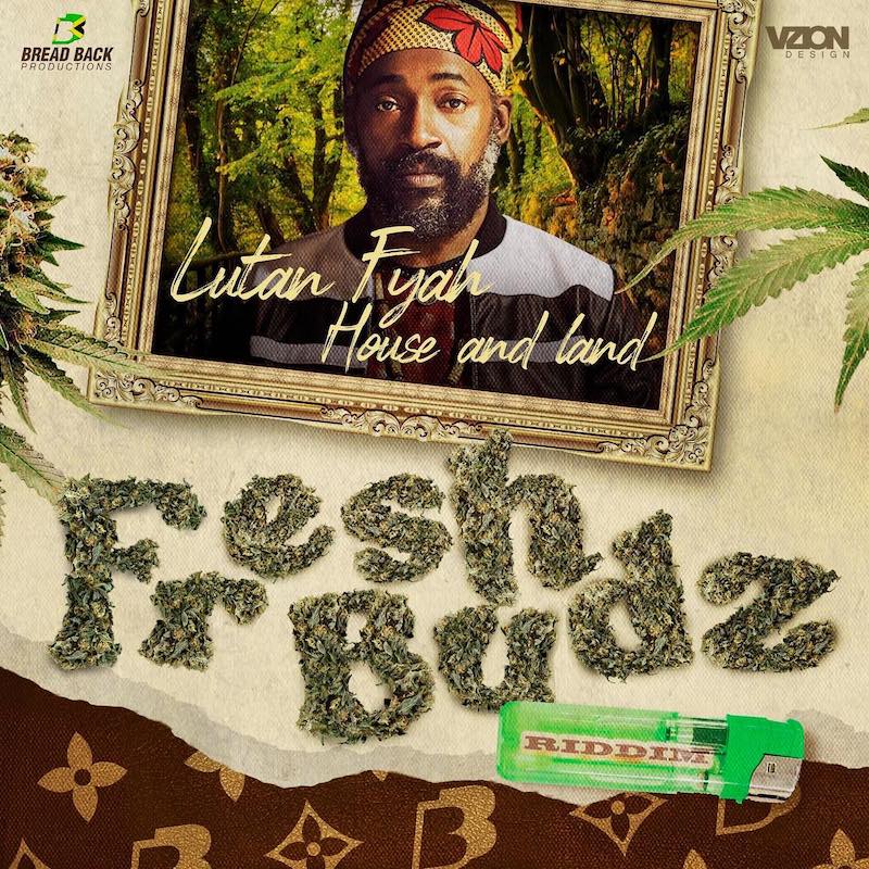 Lutan Fyah - House And Land
