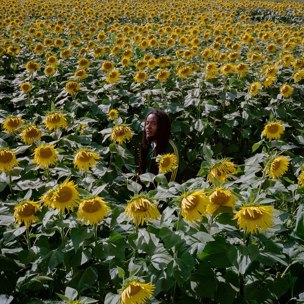 Nesta - Your Love Alone EP