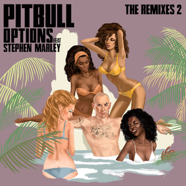 Pitbull feat. Stephen Marley - Options (the Remixes 2)