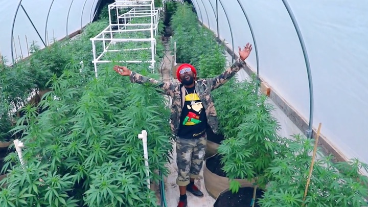 Ras Attitude - Healing Herb [6/5/2019]