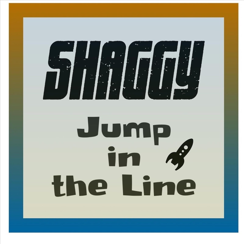 Shaggy - Jump In The Line