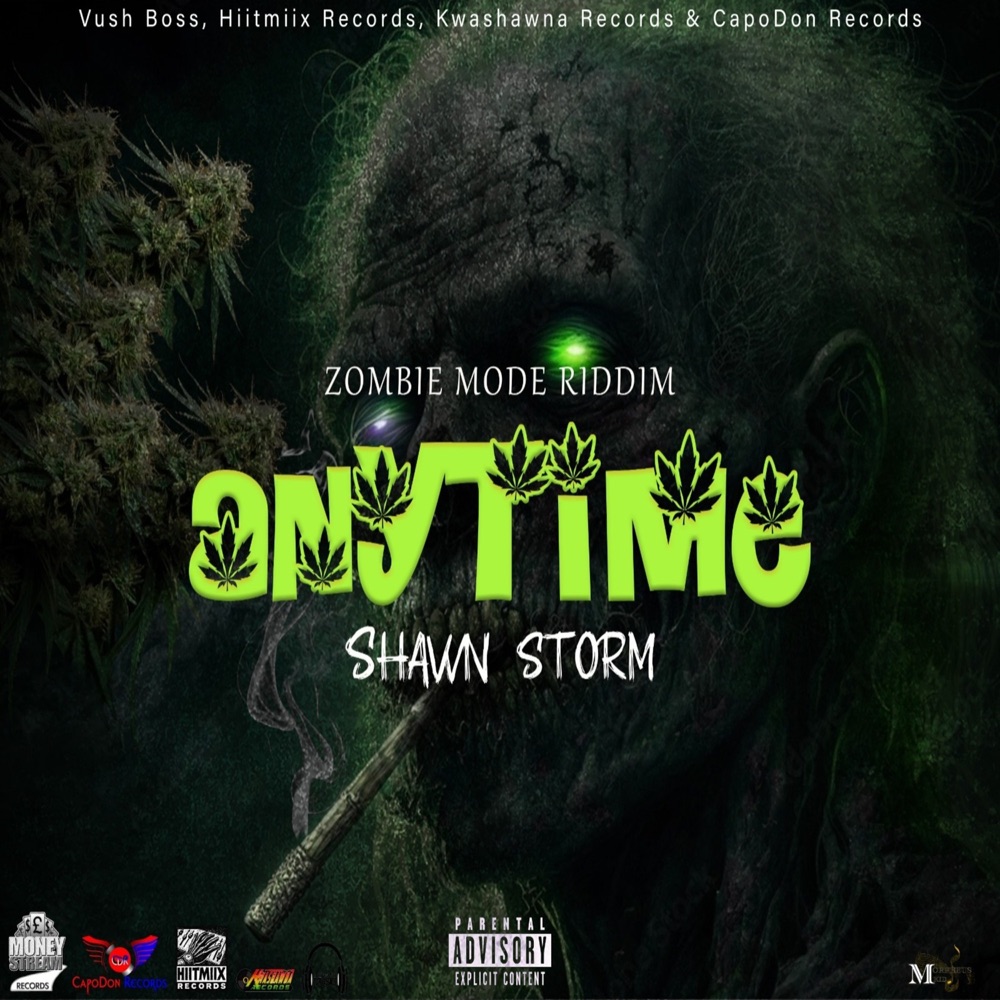 Shawn Storm - Anytime