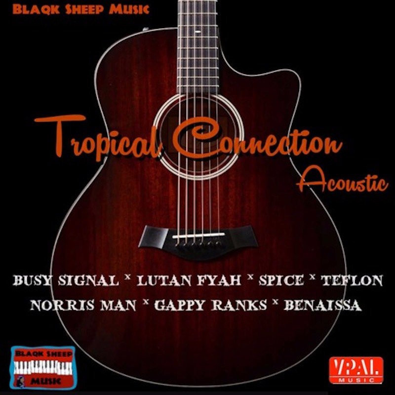 Various Artists - Tropical Connection (Acoustic)