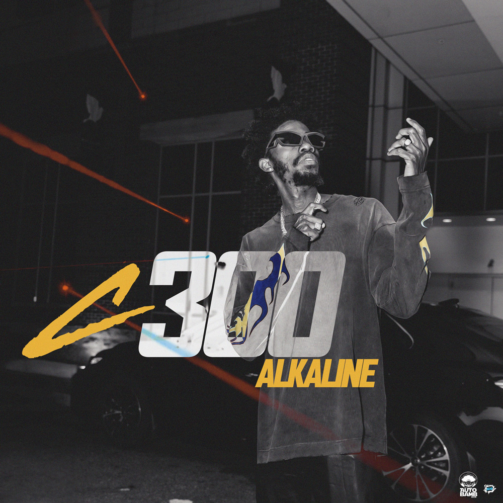 Alkaline - C300