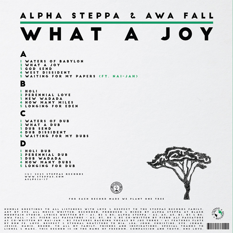 Alpha Steppa & Awa Fall - What A Joy