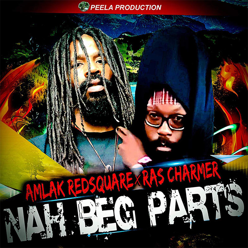 Amlak Redsquare feat. Ras Charmer - Nah Beg Parts