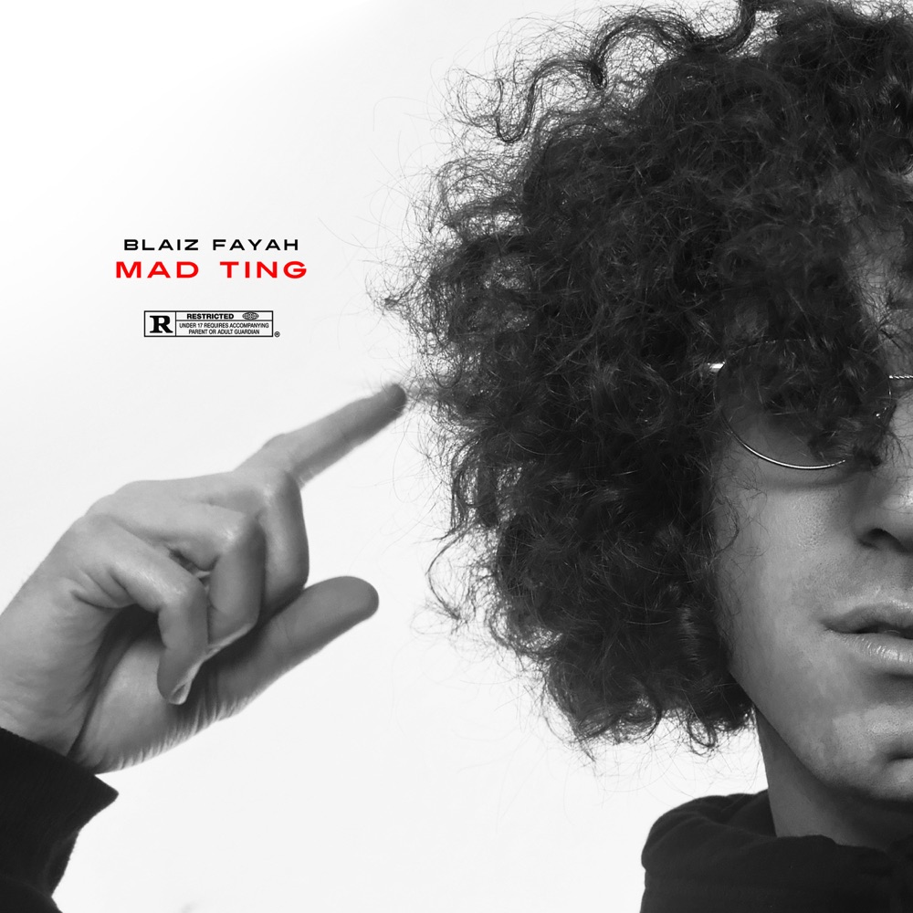 Blaiz Fayah - Mad Ting