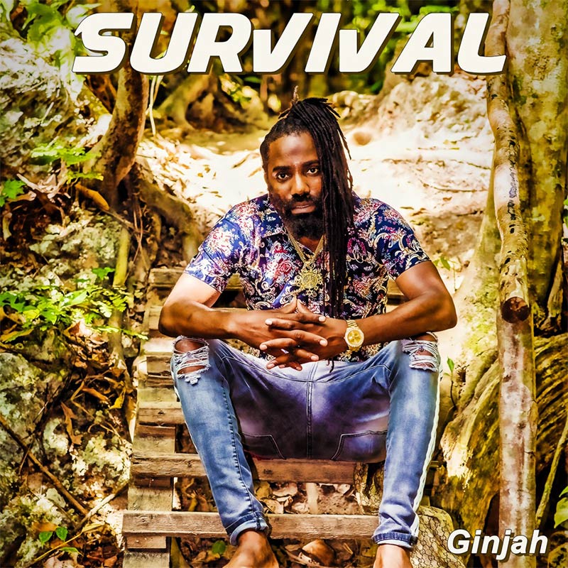 Ginjah - Survival