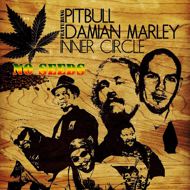 Inner Circle feat. Damian Marley, Stephen Marley, Pitbull & Red Rat - No Seeds