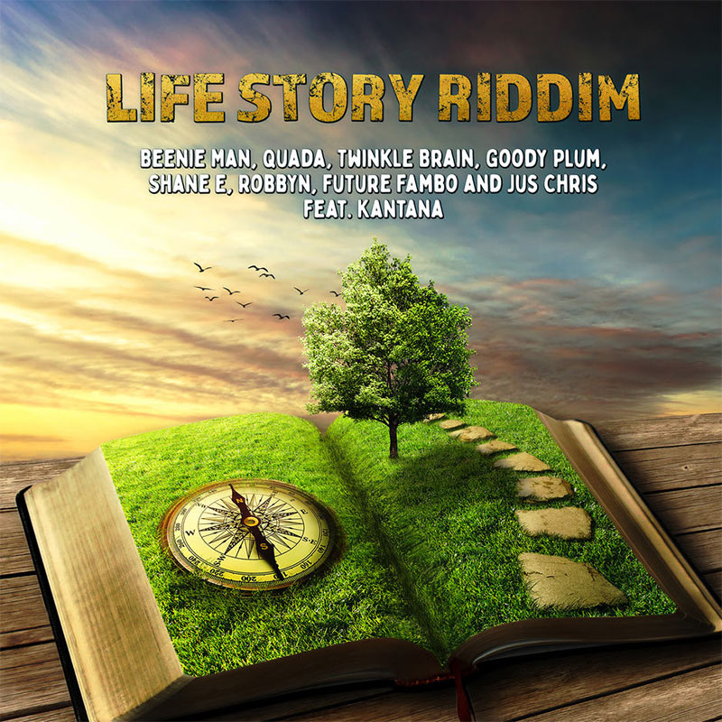 Life Story Riddim