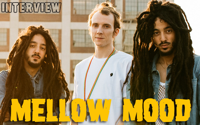 Mellow Mood - The Large Interview