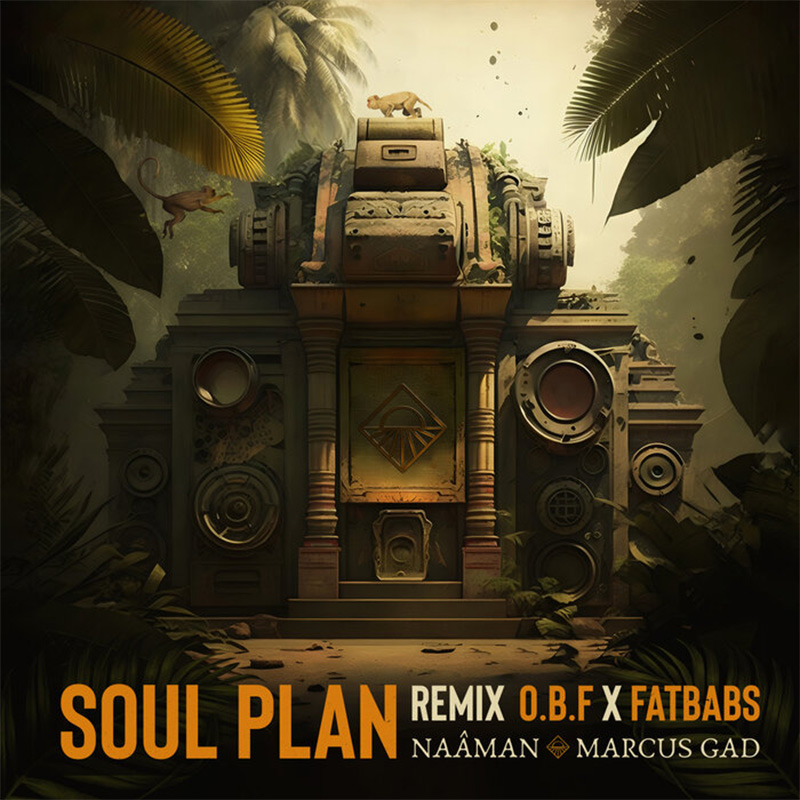 Naâman feat. Marcus Gad - Soul Plan (Remix)