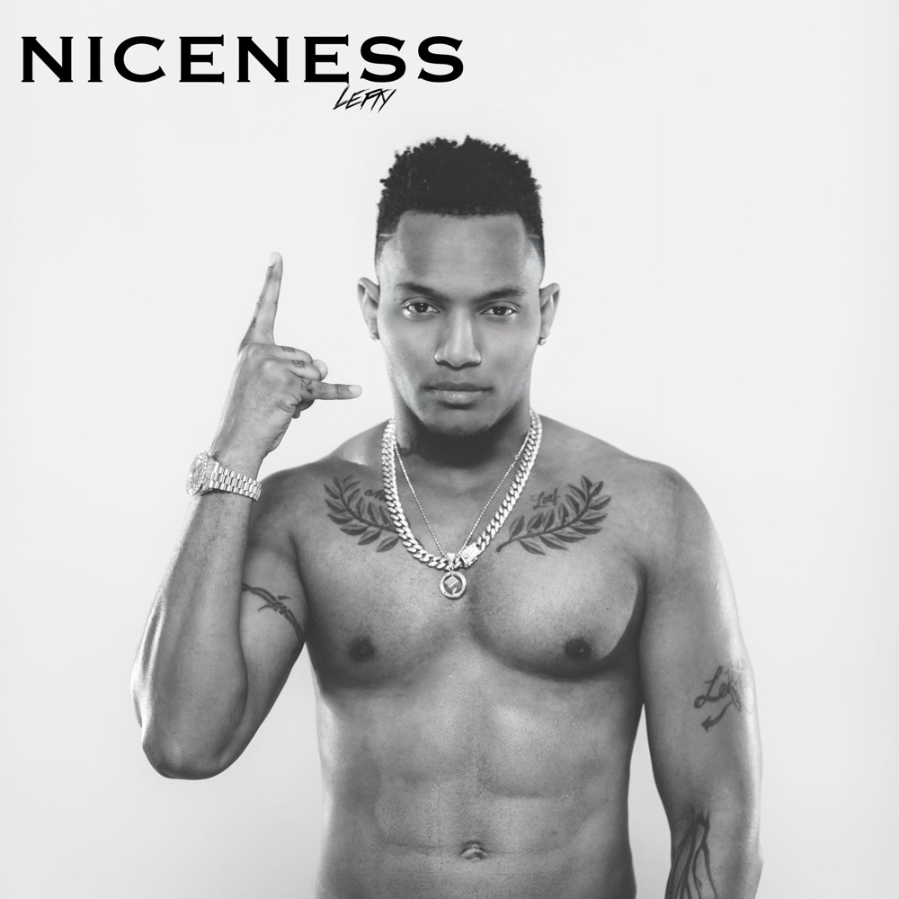 Leftside - Niceness