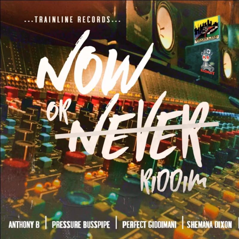 Various Artists - Now or Never Riddim