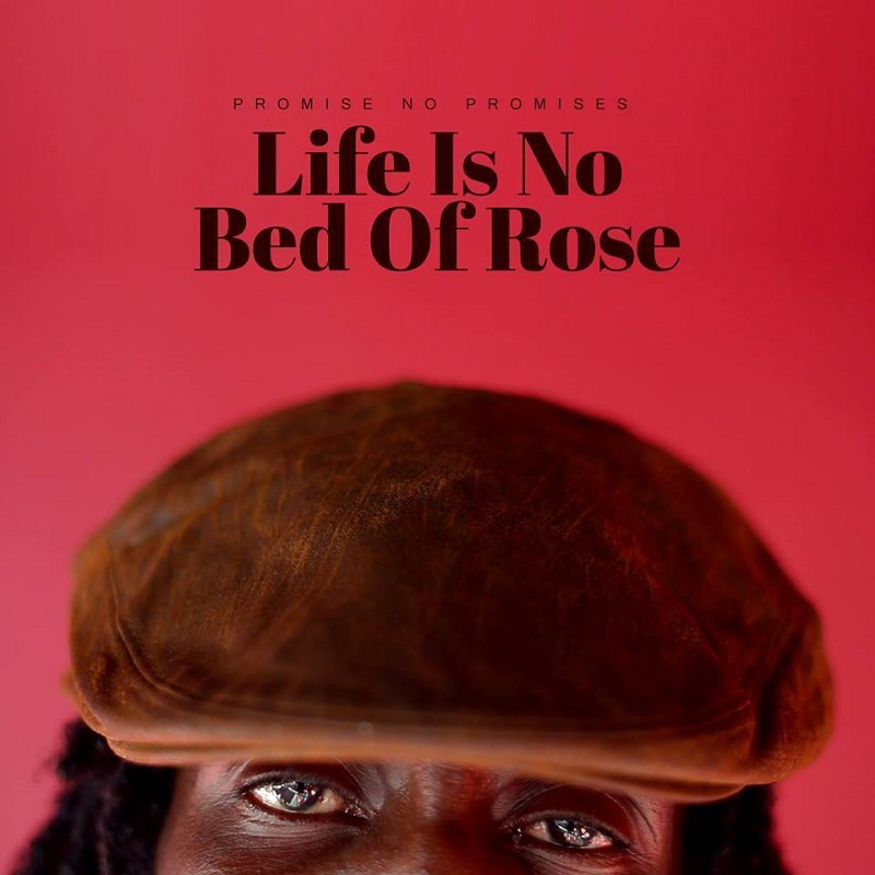 Promise No Promises - Life Is No Bed of Rose