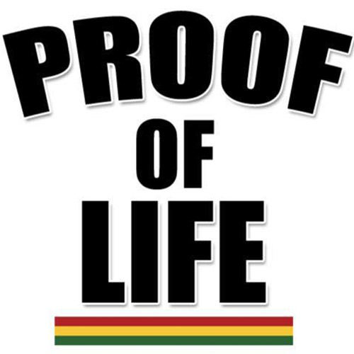 Proof Of Life