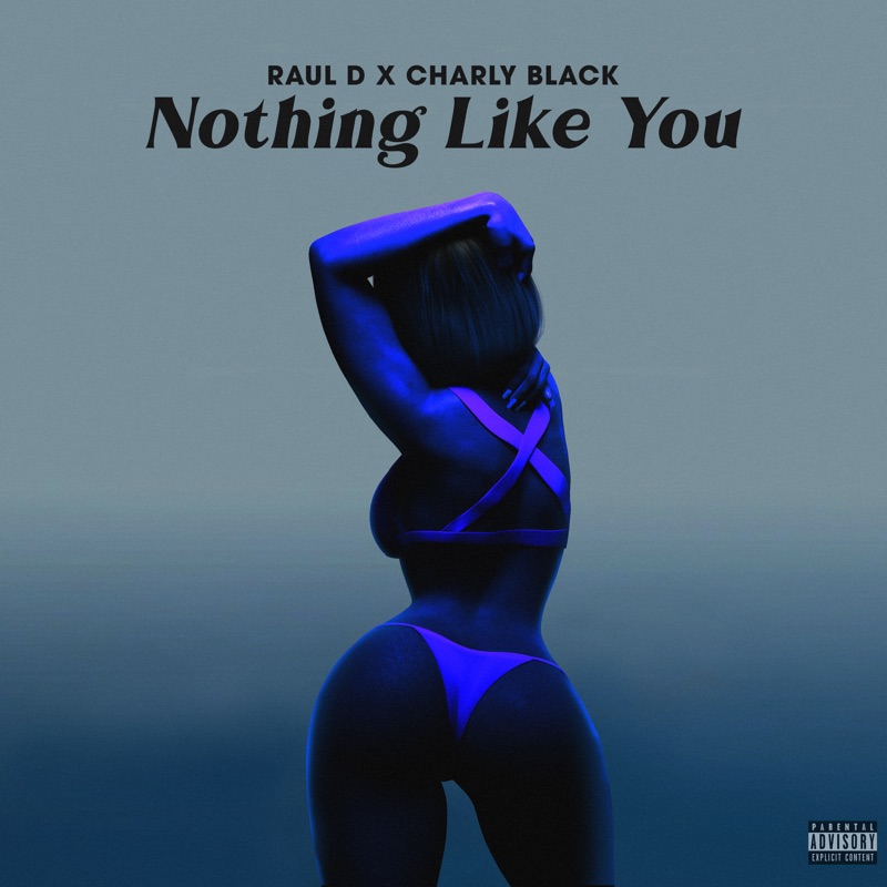 Raul D x Charly Black - Nothing Like You