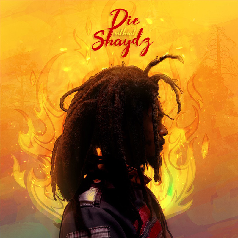 Silkki Wonda - Die Without Shades