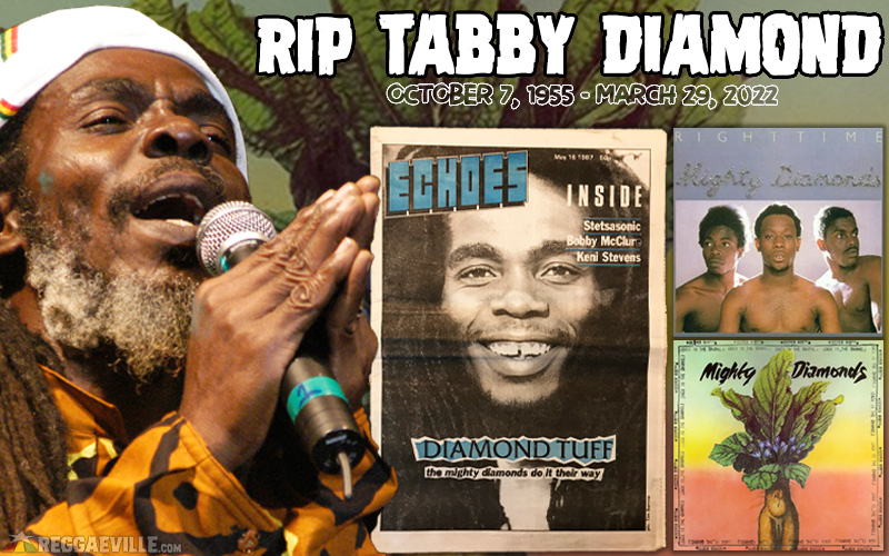 tabby-diamond-rip-killed-in-jamaica.jpg