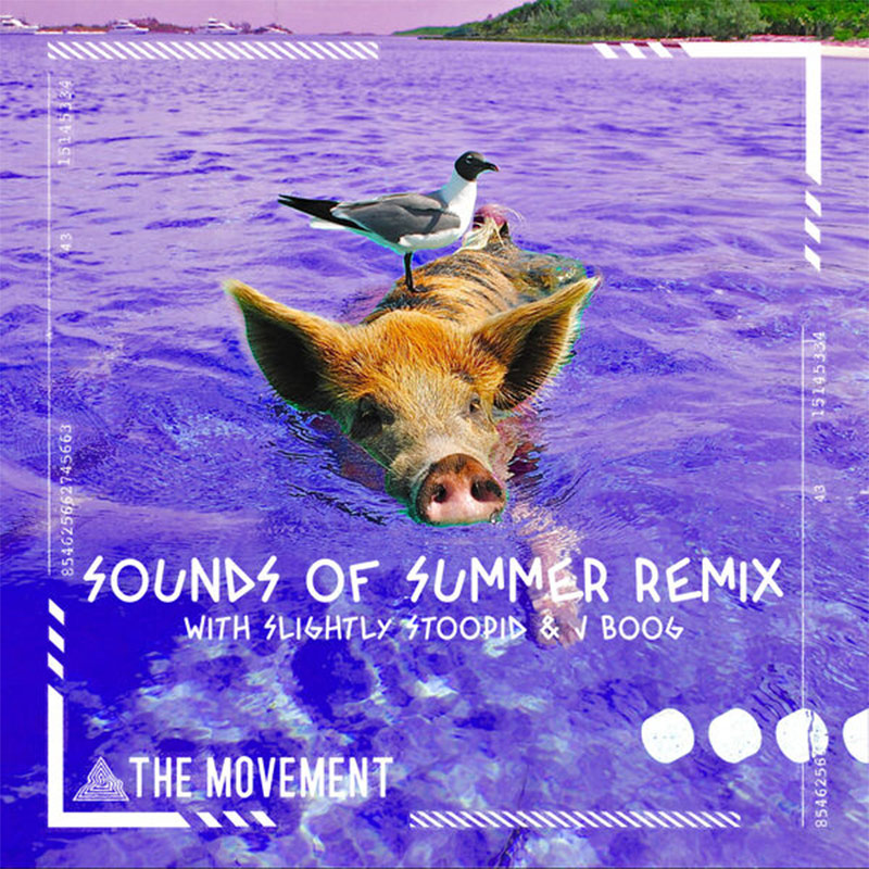 The Movement, Slightly Stoopid & J Boog - Sounds Of Summer (Remix)