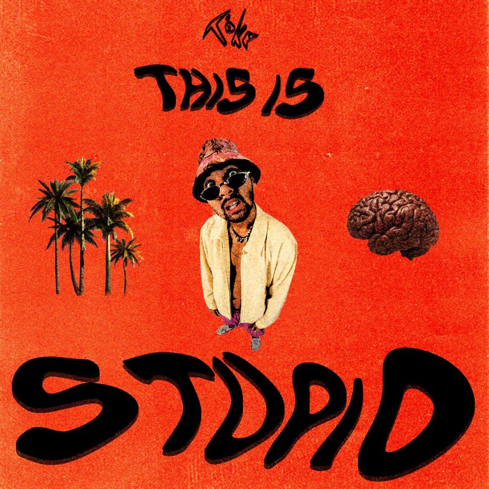 Tóke - This Is Stupid