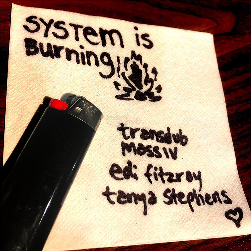 Transdub Massiv, Edi Fitzroy & Tanya Stephens -System Is Burning