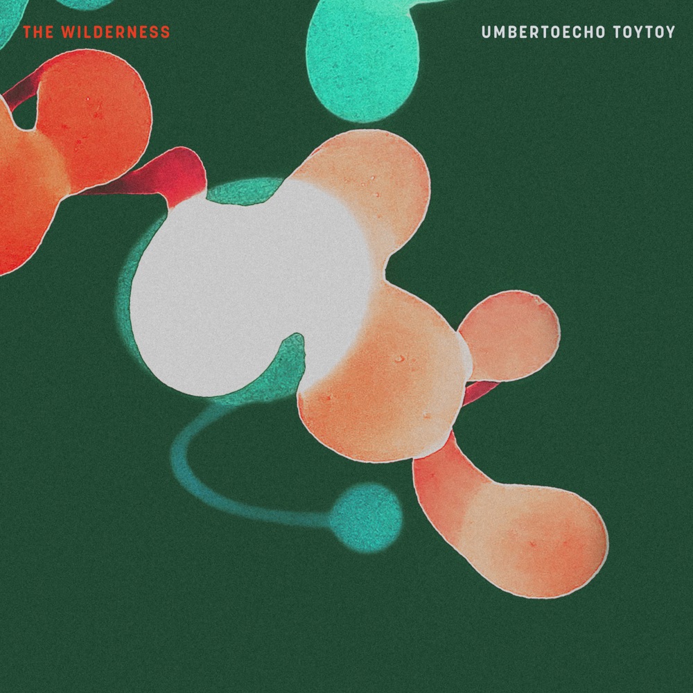 Umberto Echo x ToyToy - The Wilderness