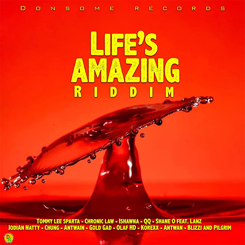 Life Is Amazing Riddim