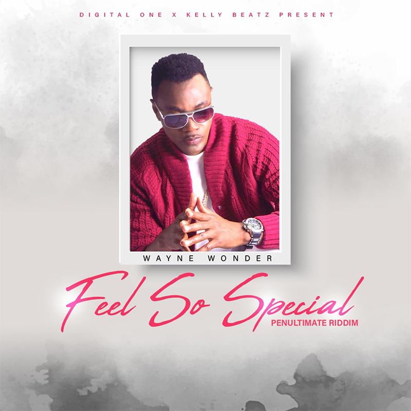 Wayne Wonder - Feel So Special