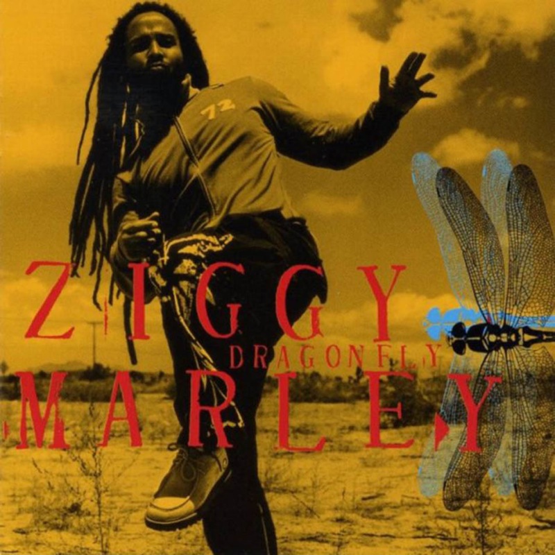 Ziggy Marley - Dragonfly