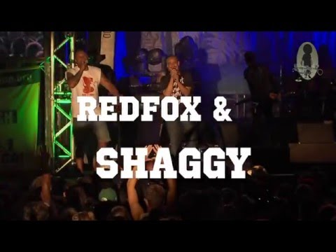 Redfox & Shaggy @ Reggaejam 2014 [8/3/2014]