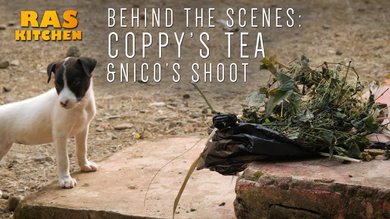 Ras Kitchen - Coppy's Tea, Nico's Photoshoot & Puppies (Behind The Scenes) [10/17/2018]