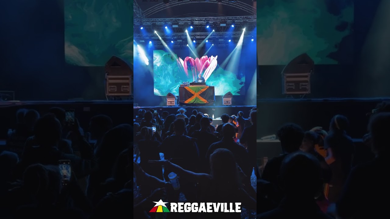 Mad Professor @ Overjam Reggae Festival 2023 [8/17/2023]