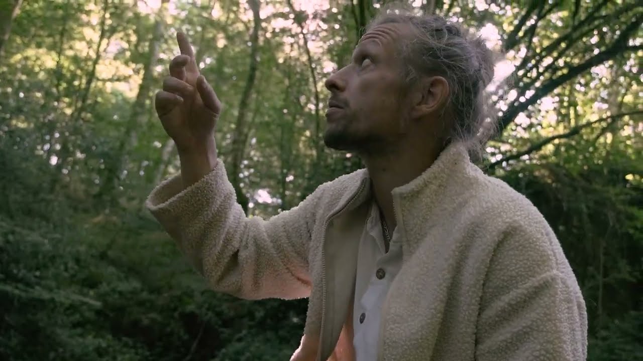 Mes Larmes - Ironleg