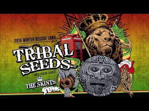 Tribal Seeds - 2016 Winter Reggae Tour [12/2/2015]