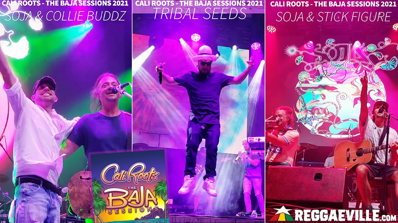 SOJA, Collie Buddz, Stick Figure & Tribal Seeds @ Cali Roots - The Baja Sessions in Mexico 2021 [11/4/2021]