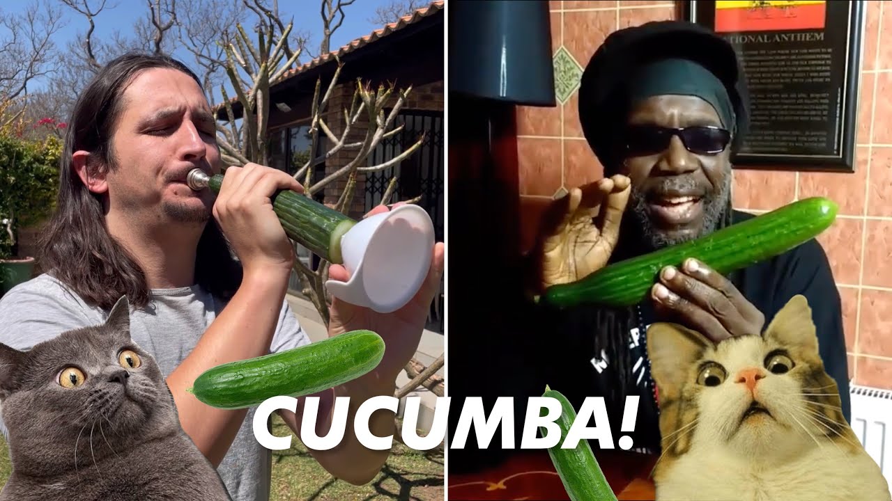 Macka B X The Kiffness - Cucumba (Cucumber Rap) [Live Looping Remix] [9/16/2021]