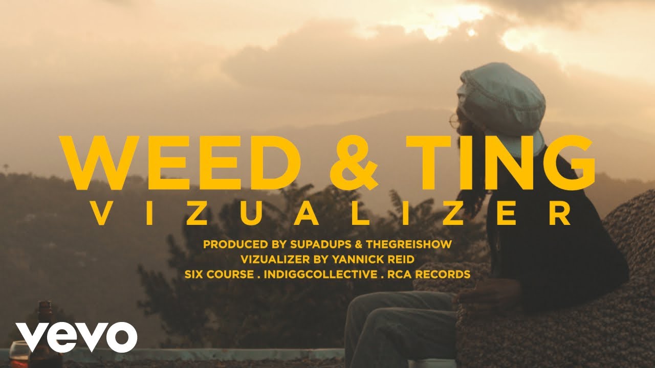 Protoje - Weed & Ting [8/28/2020]