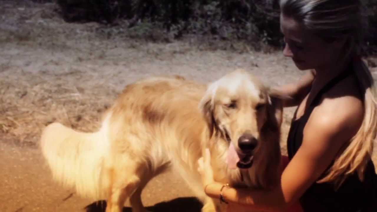 Iration - Back Around [8/21/2015]