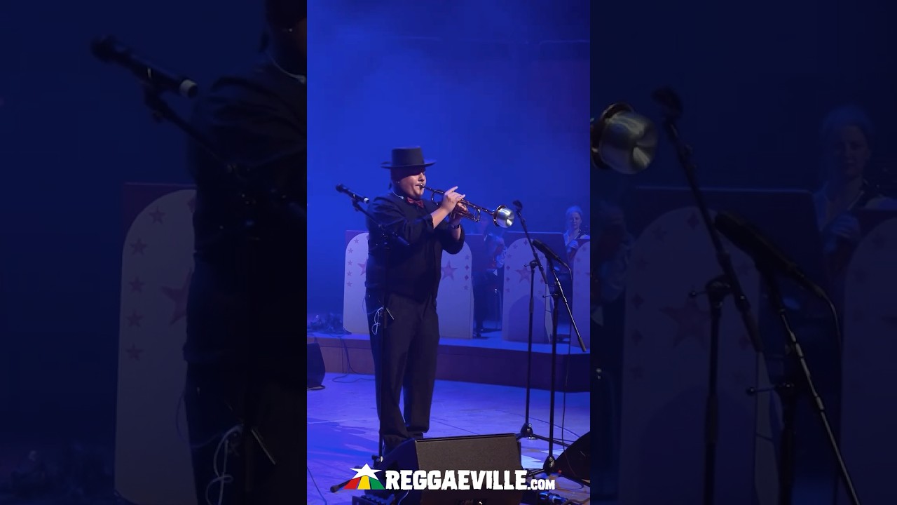 Inti Ayvar Waltz - White Christmas @ Rocksteady Christmas in Cologne, Germany