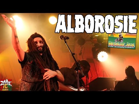 Alborosie - Rocky Road | No Cocaine @ Reggae Jam 2016 [7/31/2016]