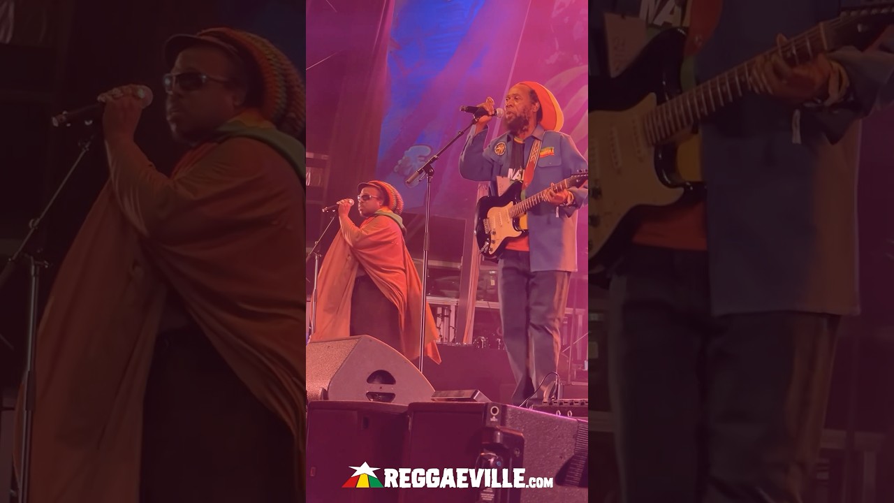 The Meditations @ Rototom Sunsplash 2025 [8/23/2025]