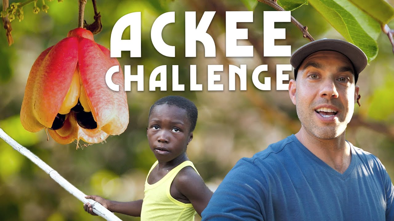 Ras Kitchen - Freestyle Ackee Picking Challenge With Matthew & Ratty [11/20/2020]