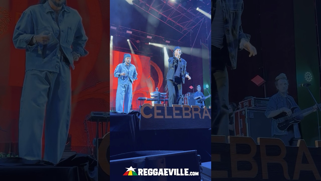 Mellow Mood @ Rototom Sunsplash 2025 [8/22/2025]