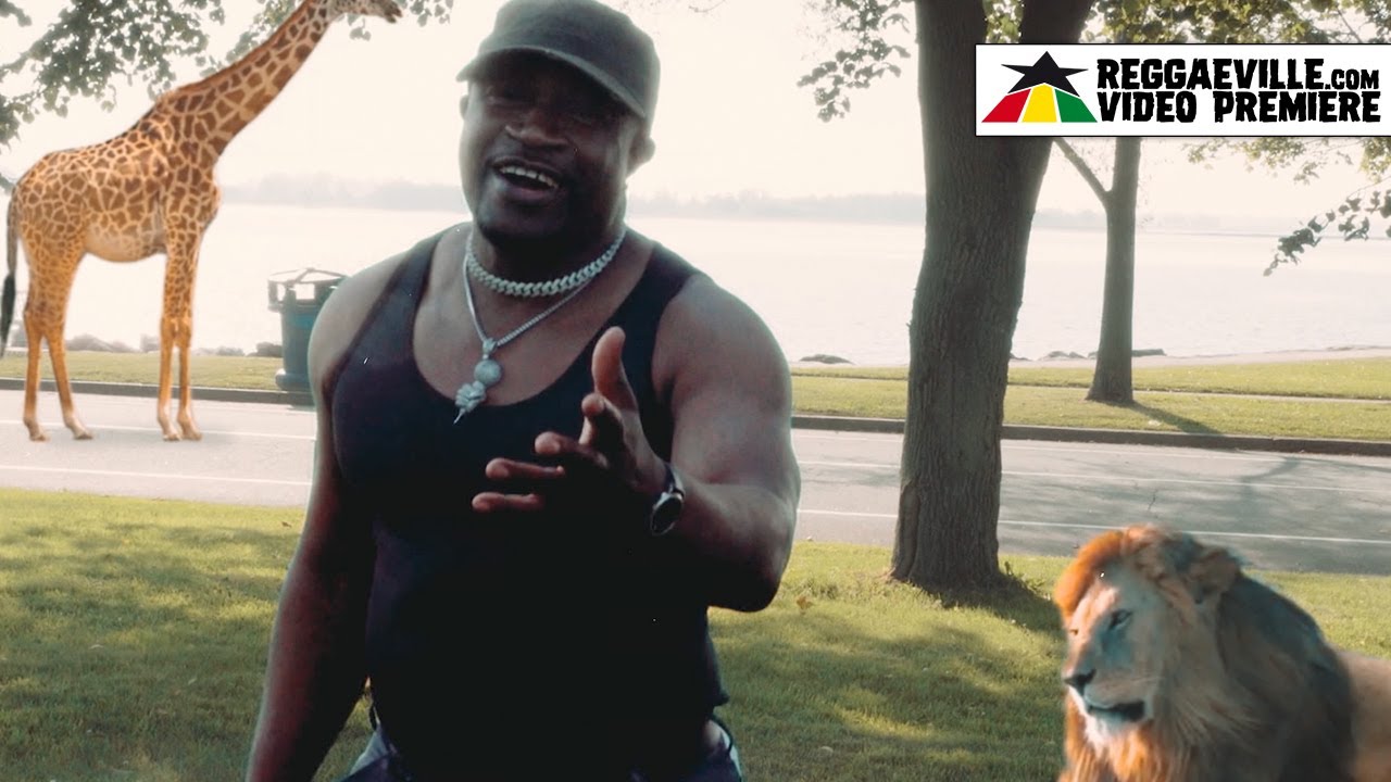 Timmy Love - Africa [12/10/2023]