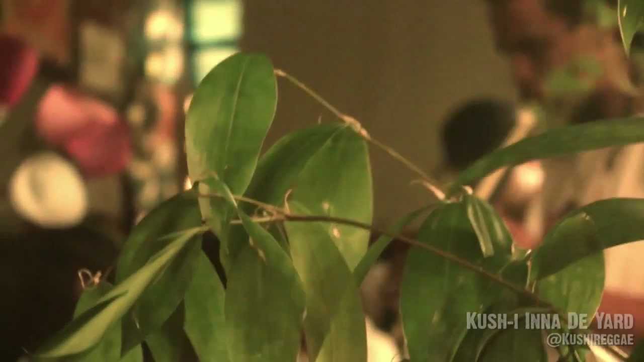 Addis Pablo - Inna De Yard Garvey Sessions [9/13/2012]